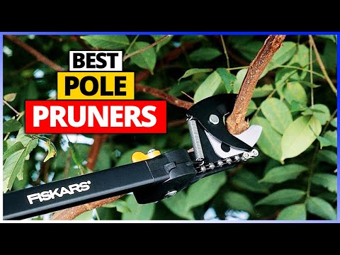 Video: Pole Pruner: Paano Pumili Ng Mga Petrol At Cordless Pole Pruner? Mga Tampok Ng Mga Modelo Ng Mekanikal Na Kamay. Mga Katangian Ng Tool Champion PP126, Fiskars PowerGear UPX86 At Ib