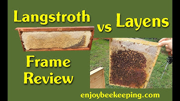 Langstroth vs Layens Frame Review 11 10 2020