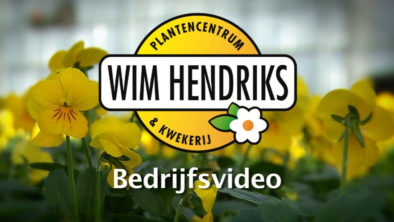 Wim Hendriks Plantencentrum Kessel bedrijfsfilm