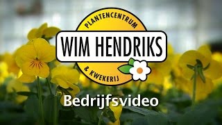Wim Hendriks Plantencentrum Kessel Bedrijfsfilm