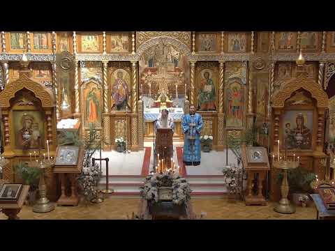 וִידֵאוֹ: קתדרלת מולד הבתולה הקדושה (Sobor Narodzenia Przenajswietszej Bogurodzicy) תיאור ותמונות - פולין: ורוצלב