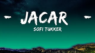 SOFI TUKKER - Jacaré (Lyrics)  | 25 Min