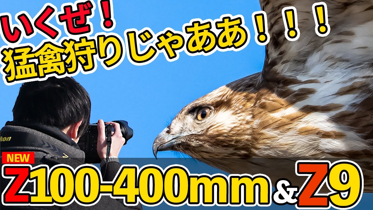 珍もの【大量】RF0529-12　LPレコード　野鳥　プロレス　効果音 珍もの【大量】RF0529-12 LPレコード 野鳥 プロレス 効果音 THE