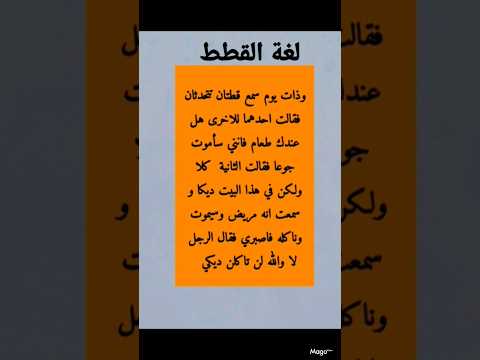 سليمان عليه السلام ولغة القطط