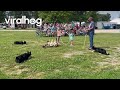 Border Collies Herd Ducks Through Hula Hoop || ViralHog