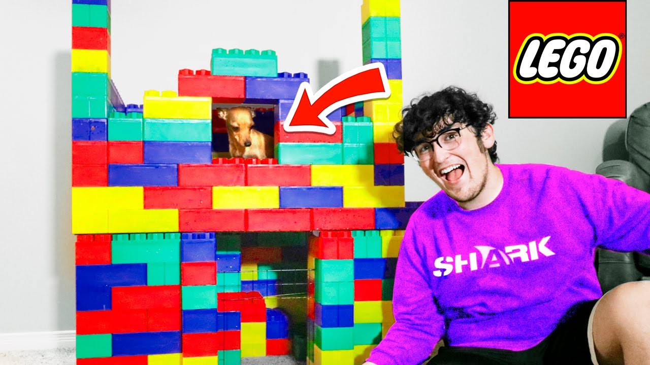 I Built a DOG HOUSE Out of GIANT LEGOS YouTube