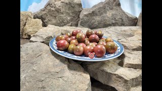 Hungry Like The Wolf Tomato Seeds For Sale At Bounty Hunter Seeds