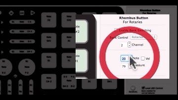 QuNeo Editor Tutorial: Rhombus Button