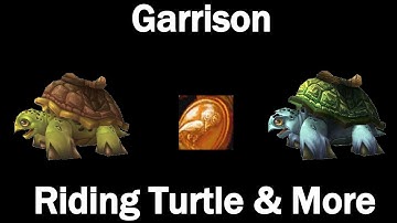 Garrison Riding Turtle Mount! Sea Turtle Mount! Lucky Coins And More!