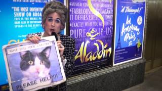 (Real) Cats Dont Belong on Broadway!