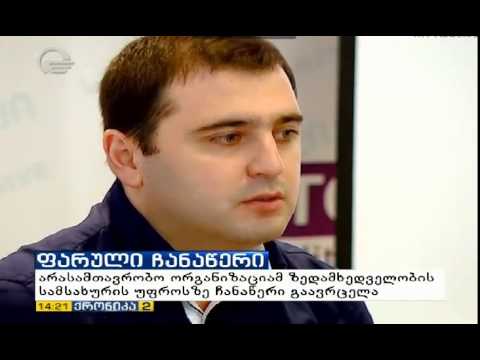 გეგი ნიჟარაძის ფარული ჩანაწერი (ქრონიკა)