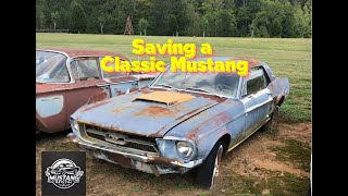 1967 Ford Mustang Restoration: Quarter Panel and Wheelhouse Replacement (Full story)  #26#diy