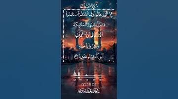 #سورة_فصلت #القرآن_الكريم #القارئ_سعد_الغامدي #ريلز #duet #انستقرام #تيك_توك #اكسبلور