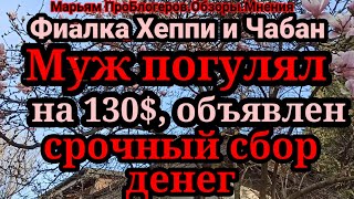 Фиалка Хеппи.Раз говорит,что не скоро встретятся с мужем,значит билеты уже купила.Поэтому и телефон