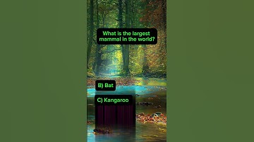 Ultimate Quick Quiz Challenge: Test Your Knowledge Now! 🧠✨ #QuizTime #TriviaChallenge #FunFacts