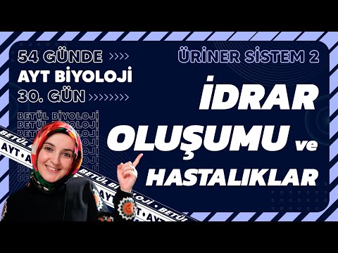 30) İdrar Oluşumu | Boşaltım Sistemi | 11. Sınıf Biyoloji | 2024 AYT Biyoloji Kampı 30. Gün