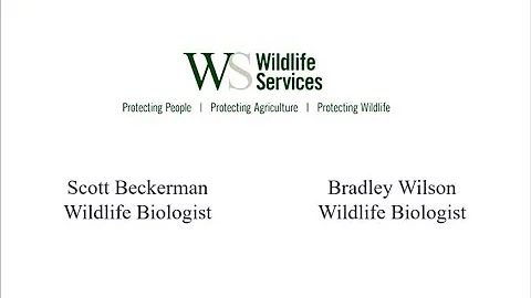 A Collaborative, Integrated Approach to Feral Swine Damage Management in Illinois