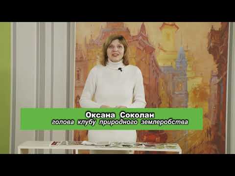 Господар. Догляд садової ділянки