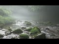 【不眠症】睡眠、リラクゼーション・朝霧の円原川・４K