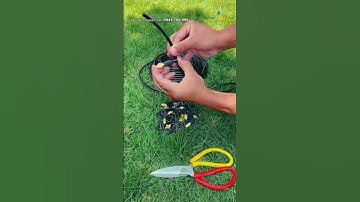 Combo béc phun sương làm mát đầu đồng ống PE 6mm kết nối nhanh | Tưới Biển Vàng | tuoibienvang.com