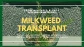 Growing Edibles in Crescent Garden Containers 