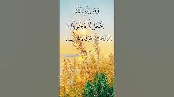 ومن يتق الله يجعل له مخرجا #ماهر_المعيقلي #quran #سورة_الطلاق #اكسبلور #المصحف #القرآن_الكريم