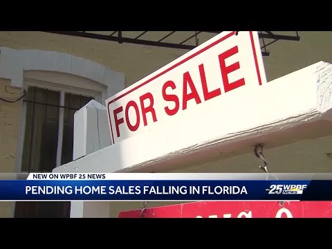 Home sales plummeting