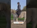 Reiter-Sitz-Analyse: Passt der Sattel wirklich? #shorts