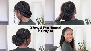 3 EASY and FAST NATURAL HAIRSTYLES | Natural Hair | Jamila Nia by Jamila Nia 3,825 views 2 years ago 8 minutes, 23 seconds