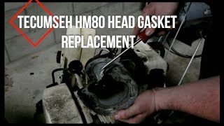 How To: Replace a Tecumseh Head Gasket (HM80)