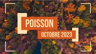 POISSON♓️GÉNÉRAL~OCTOBRE 2023~UN GRAND BOULEVERSEMENT IMMINENT☄️