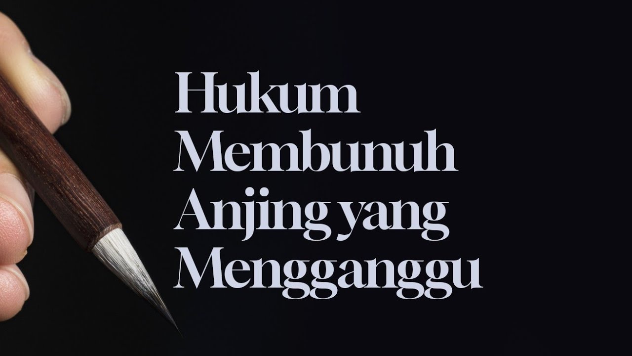 ⁣Hukum Membunuh Anjing yang Mengganggu