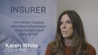 Combating climate change with catastrophe modelling: RMS’ White