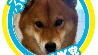 東京都議会議員選挙！NHK党立花孝志が応援しているのは再生の道だけど投票する人は国民民主党理由は立憲民主党の候補者が嫌だから！