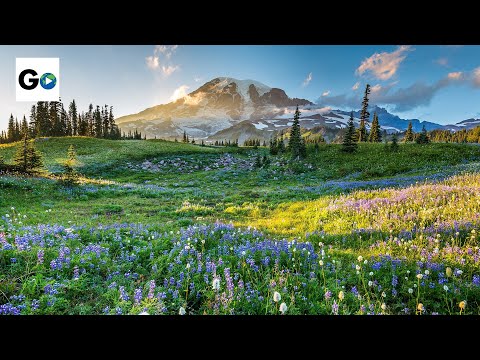 Video: 11 Bilder, Die Belegen, Dass Der Mount Rainier National Park Unterschätzt Wurde