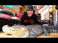 SURPRISING FAMILY WITH GIANT ALLIGATOR!!