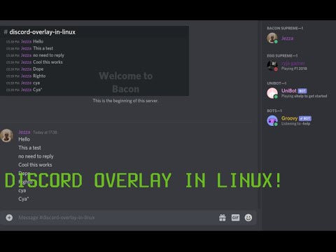 Discord Overlay For Linux Discordoverlaylinux Review Youtube