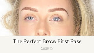 First Pass of Left Brow | The Perfect Brow Course screenshot 5