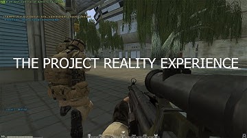 The Project Reality Experience
