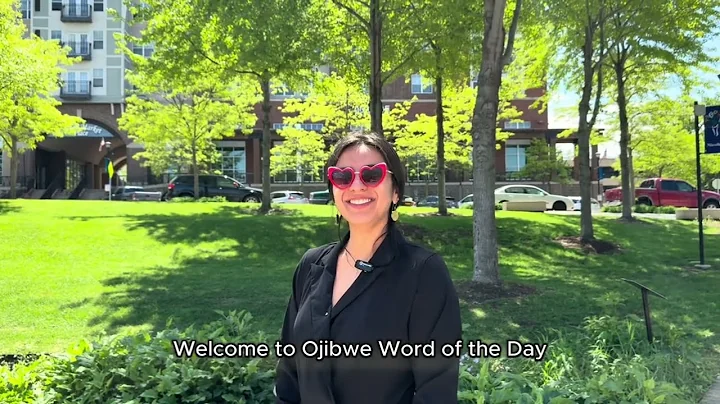 Hay' = Oops, shucks, aw darn (Ojibwe Word of the Day)