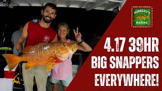 Big Snappers Everywhere!  4.17.26 39Hr Overnight Trip | Hubbard's Marina