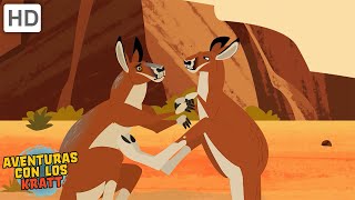 Criaturas del desierto | Canguros, serpientes + más! [episodios completos] Aventuras con los Kratt