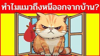 ทำไมแมวหนีออกไปและไม่กลับมา ?