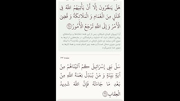 سوره مبارکه بقره آیات ۲۰۸و۲۰۹بامعنی گویا گوارای وجودتان#قرآن #قران_كريم #قران #قرآن_كريم #youtube