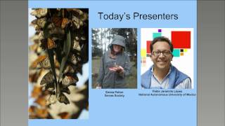 Monarch Overwintering Biology ID