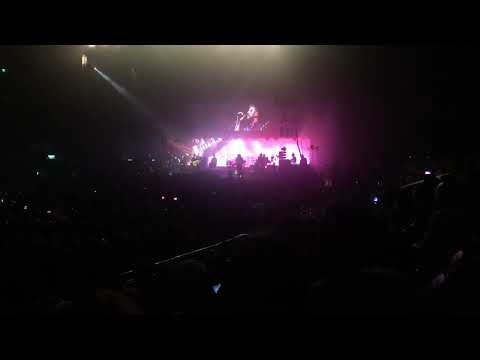 ישי ריבו תכף יפתח 