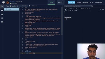 Kolay Yoldan Python Programlama Öğrenin - Ders 022 - İken Döngüsü