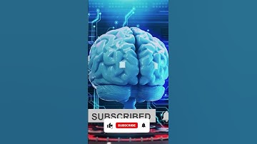 Neuro AI: Mapping the Human Brain with Machines Part 1 #shorts