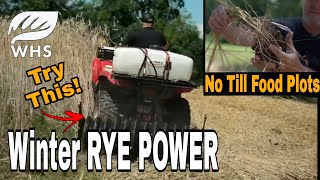 No Till Winter Rye Food Plots