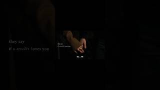 they sey loves you #songs #english #cuple #dreams #himalayas #pathans #podcast #i
